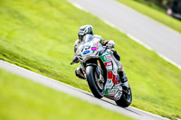 Oulton-Park-21st-March-2020;PJ-Motorsport-Photography-2020;anglesey;brands-hatch;cadwell-park;croft;donington-park;enduro-digital-images;event-digital-images;eventdigitalimages;mallory;no-limits;oulton-park;peter-wileman-photography;racing-digital-images;silverstone;snetterton;trackday-digital-images;trackday-photos;vmcc-banbury-run;welsh-2-day-enduro